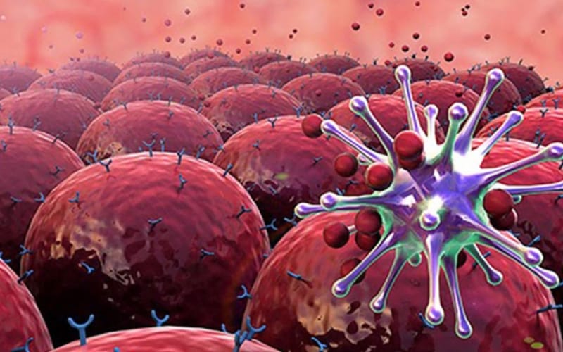 Ăn uống kết hợp Xáo tam phân giúp phòng ngừa ung thư