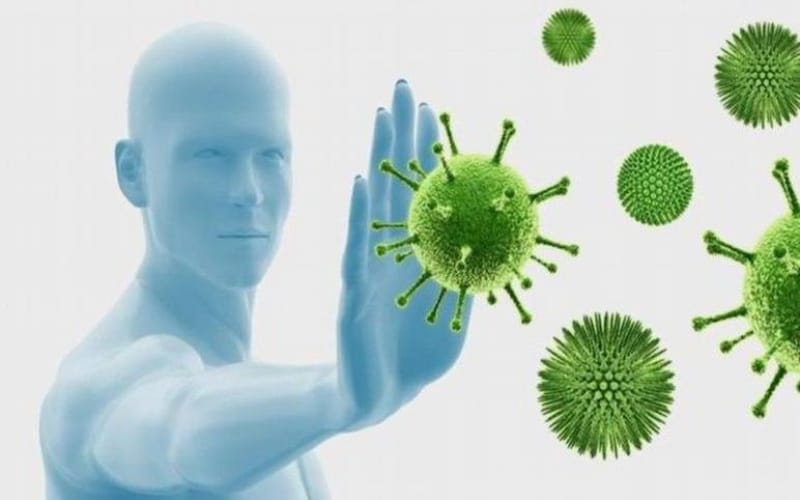 Các giai đoạn ung thư và vai trò của Xáo tam phân trong hỗ trợ điều trị