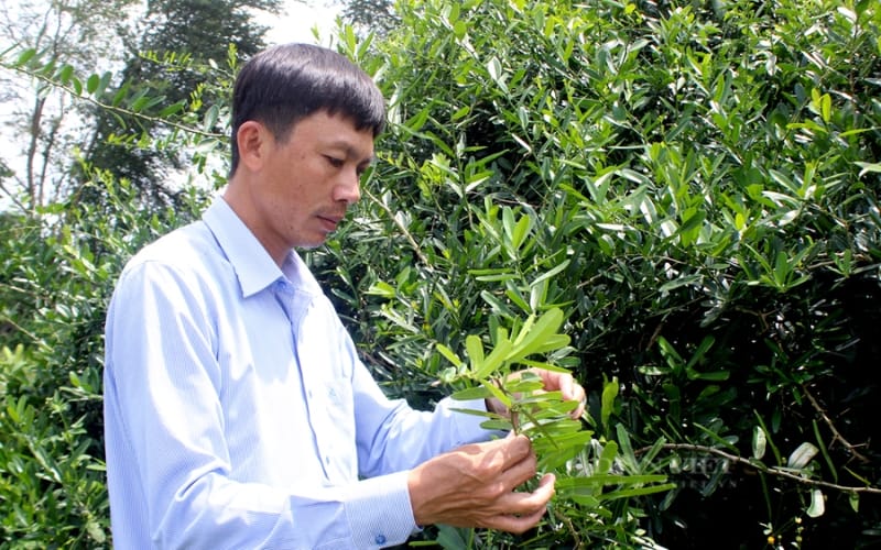 Nông dân Việt Nam xuất sắc 2024 đến từ Đồng Nai là người trồng cây dược liệu quý hỗ trợ điều trị bệnh nan y