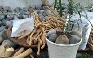 Xáo tam phân có thật sự hỗ trợ điều trị ung thư không? Chia sẻ từ chuyên gia.