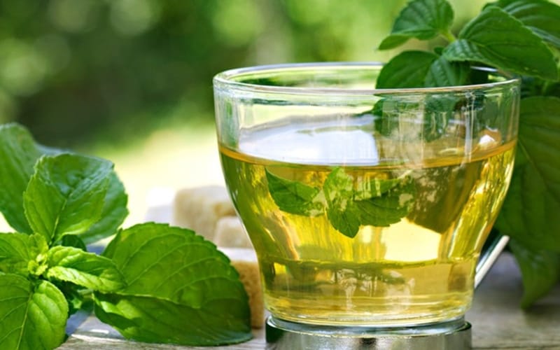 Xáo tam phân và các loại trà thanh lọc giúp thải độc cơ thể