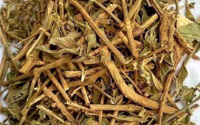 Dùng Dạ cẩm để cải thiện trào ngược dạ dày có thực sự hiệu quả?