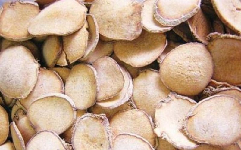 Tả trạch giúp giải độc cơ thể – Có nên sử dụng hàng ngày?